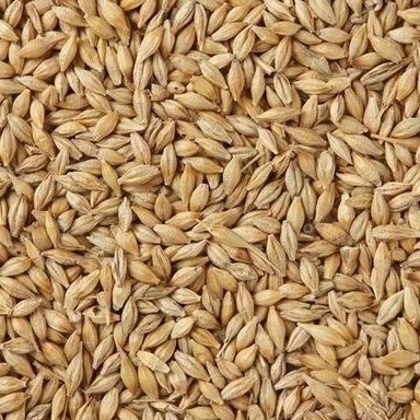 D'usine basse Sumption machine de trieuse de couleur de grain de blé de capacité élevée de vente directe