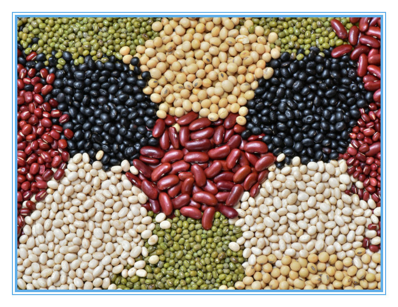 Trieuse de couleur de grain pour la trieuse de couleur de riz de quinoa de haricots des graines de sésame