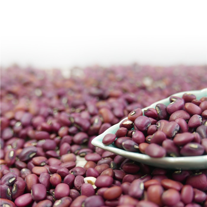 Machine 1 Ton Per Day de Mini Red Beans Color Sorter de vente en gros d'usine de la Chine
