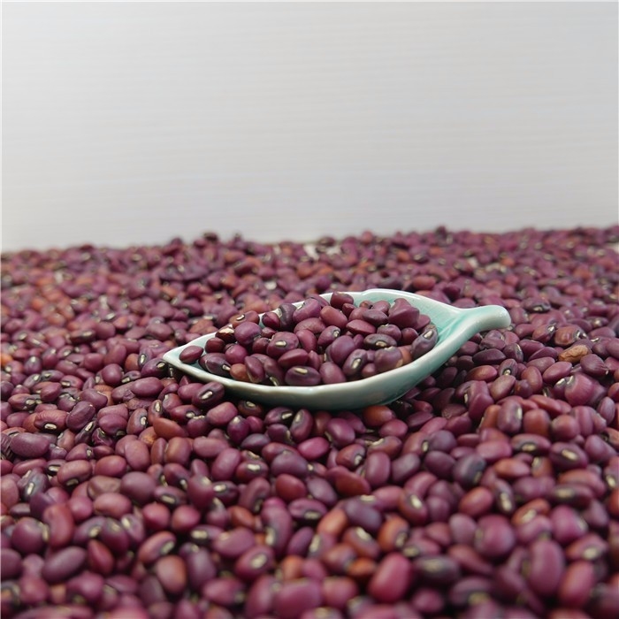 Machine 1 Ton Per Day de Mini Red Beans Color Sorter de vente en gros d'usine de la Chine