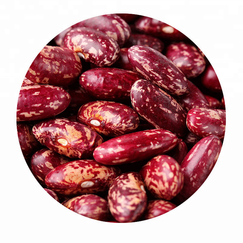 Trieuse rouge de haricots nains de petit prix de fournisseur de qualité d'usine chaude au Brésil