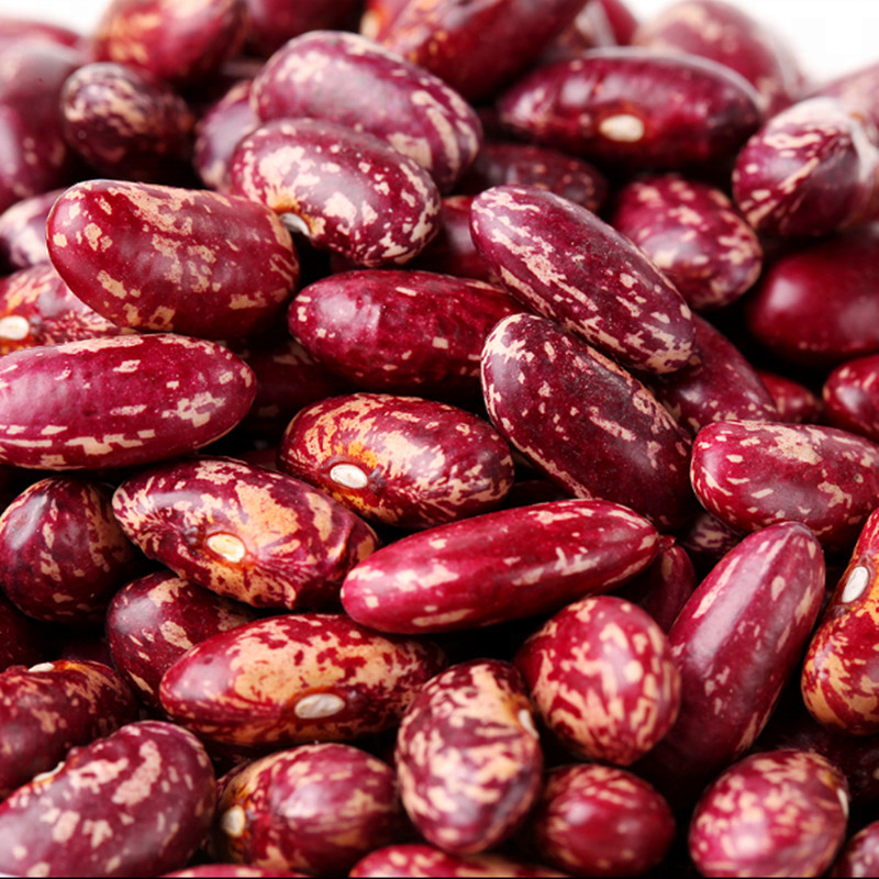 Trieuse rouge de haricots nains de petit prix de fournisseur de qualité d'usine chaude au Brésil