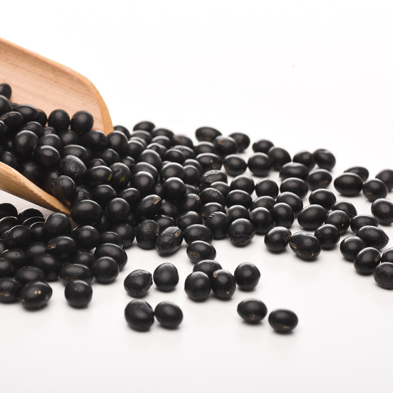 Les haricots nains noirs de basse consommation d'acier inoxydable colorent l'usine de terres cultivables de machine de trieuse