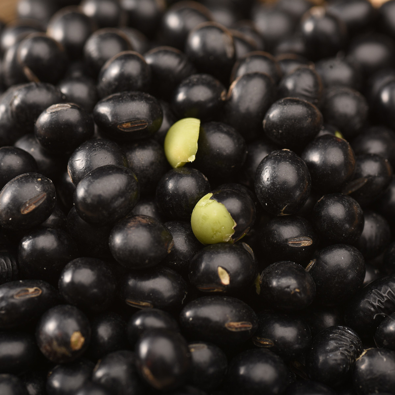 Les haricots nains noirs de basse consommation d'acier inoxydable colorent l'usine de terres cultivables de machine de trieuse
