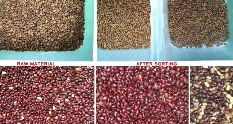 Lentille spéciale de Bean Sesame Color Sorter With de café à traitement d'images