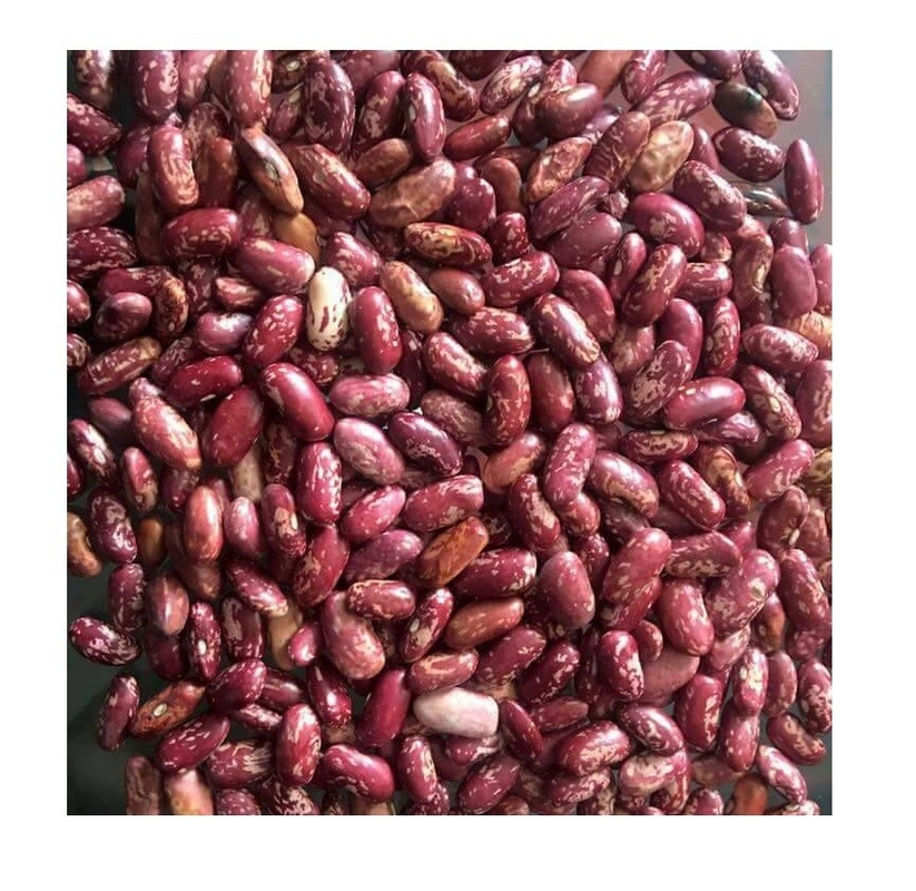 Trieuse de couleur de WENYAO 240V pour la chaîne de fabrication de haricots