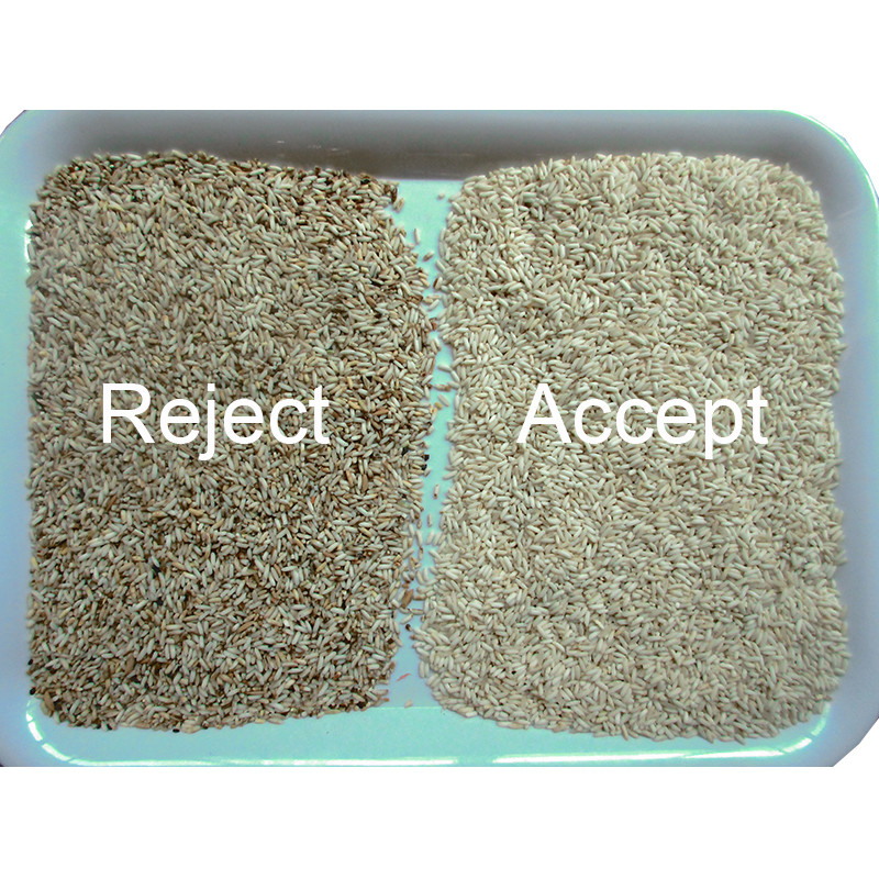 Les 6 grains de café à grande vitesse de macadamia de riz du descendeur RVB colorent la trieuse avec le certificat de la CE