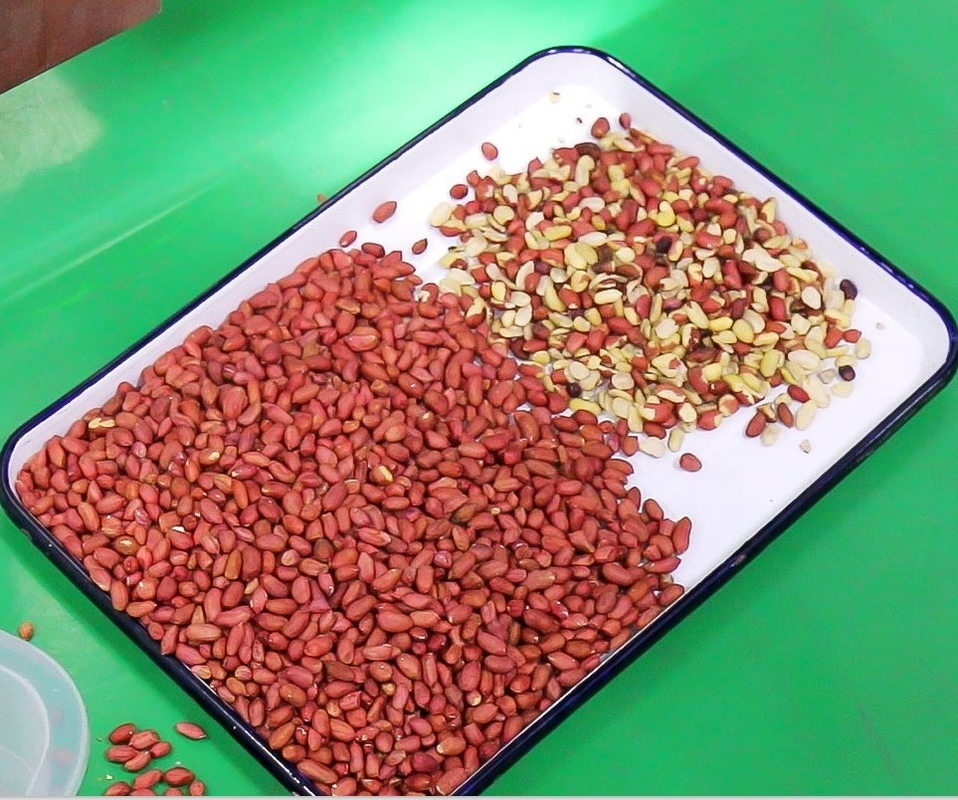Les 6 grains de café à grande vitesse de macadamia de riz du descendeur RVB colorent la trieuse avec le certificat de la CE