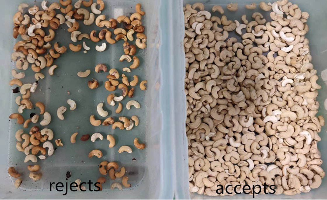 Trieuse de couleur d'écrou de la caméra CCD AI de Wenyao Nut Sorting Processing Machine