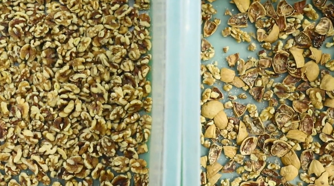 Trieuse de couleur d'écrou de la caméra CCD AI de Wenyao Nut Sorting Processing Machine