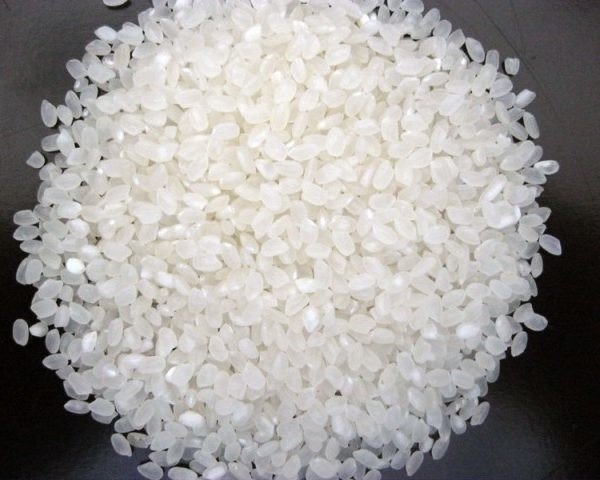 Trieuse de couleur de haricots de maïs de riz de grain du CCD LED de WENYAO Wholesale petite chaude dans Ploland