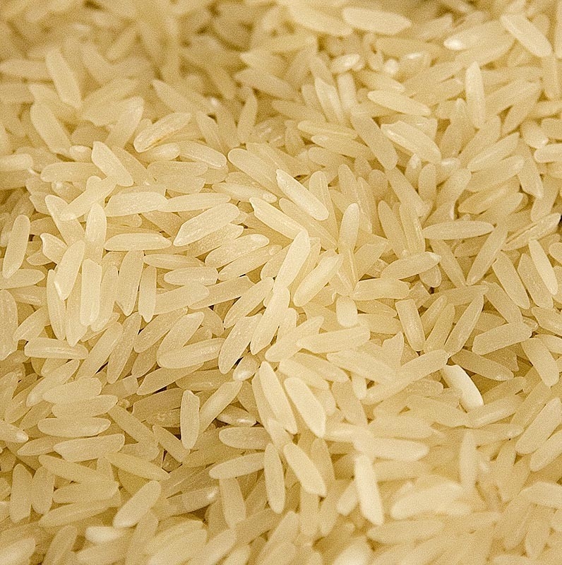 Trieuse de couleur de haricots de maïs de riz de grain du CCD LED de WENYAO Wholesale petite chaude dans Ploland