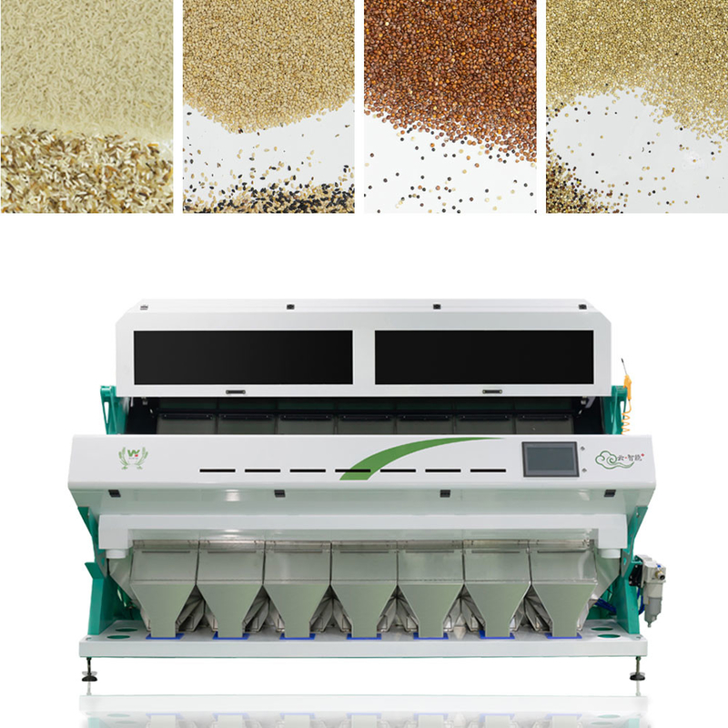 Chaîne de fabrication de ferme automatique de 7 descendeurs trieuse utilisée de couleur d'orge de blé avec la caméra de Toshiba