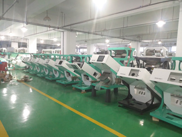 Chaîne de fabrication de ferme automatique de 7 descendeurs trieuse utilisée de couleur d'orge de blé avec la caméra de Toshiba