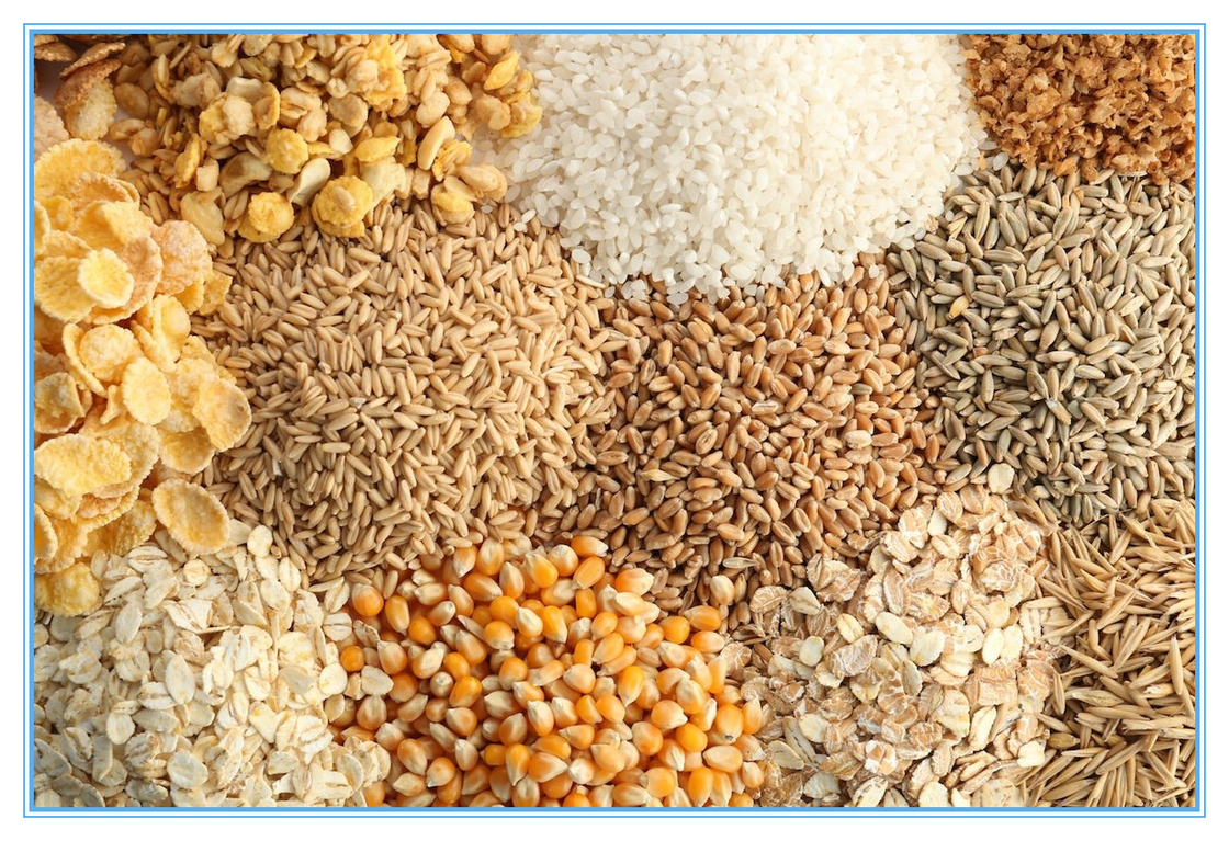 Wenyao Caméra CCD infrarouge Machine de tri des grains de couleurs Optique Tri de couleurs de maïs d'arachide