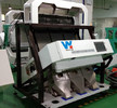 Machine d'emballage en plastique de couleur d'ANIMAL FAMILIER de PPS de machine en plastique de trieuse avec la trémie d'alimentation