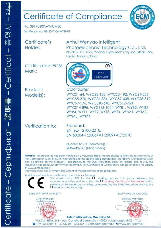 Approbation multifonctionnelle réutilisée de la trieuse ISO9001 de couleur de flocons en plastique mélangés
