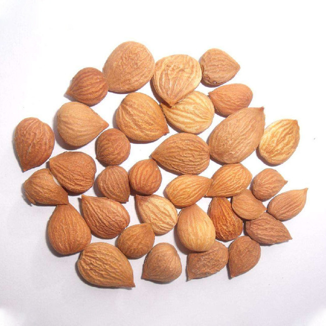 Machine réglée complète de trieuse de couleur d'amande de fournisseur de qualité de la Chine pour l'usine de nourriture