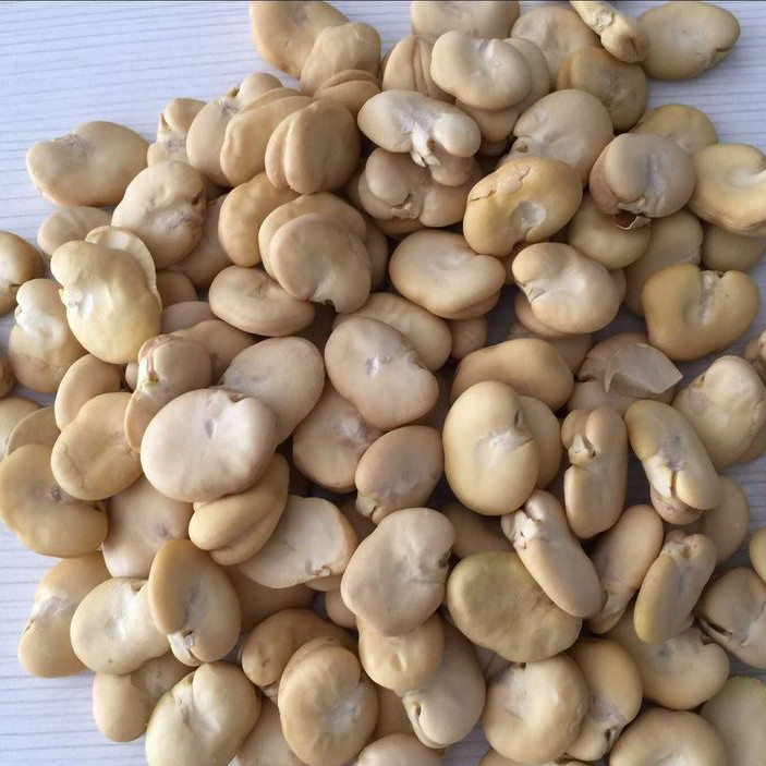 Les haricots optiques futés d'écrous de CCD colorent la trieuse pour l'usine de nourriture