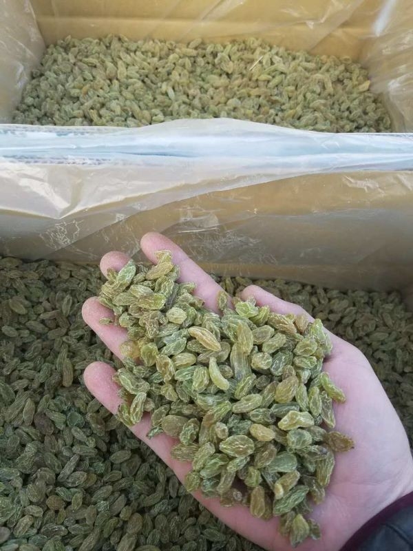 Les écrous de raisins secs de rendement élevé colorent la trieuse que sortie machine 100 tonnes par jour