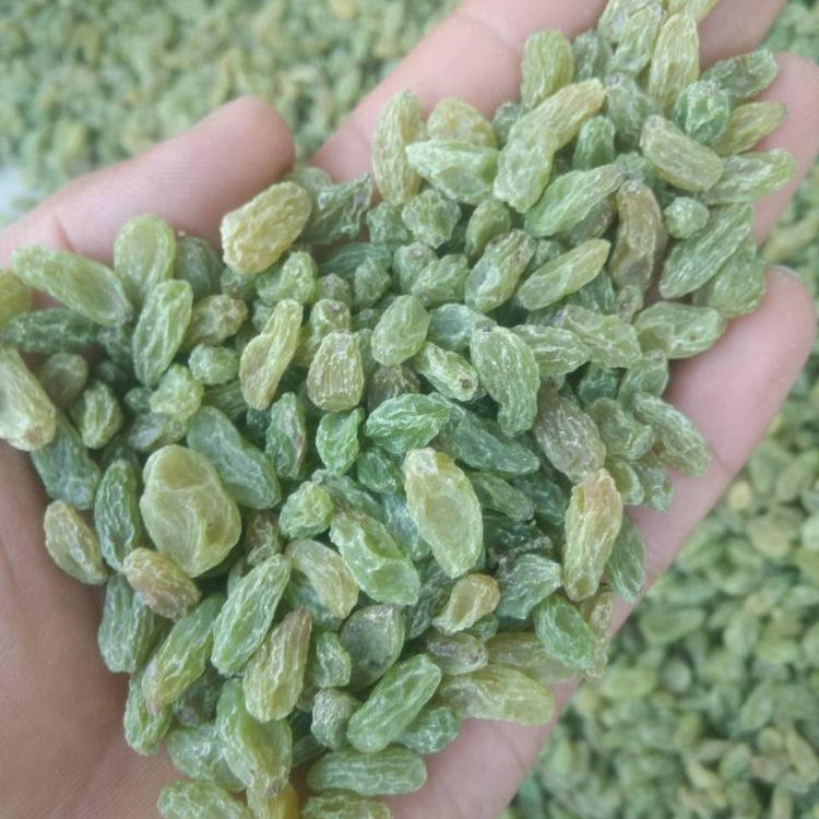 Les écrous de raisins secs de rendement élevé colorent la trieuse que sortie machine 100 tonnes par jour
