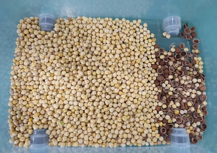 les haricots automatiques d'arachide de CCD colorent la trieuse avec la représentation de capacité élevée