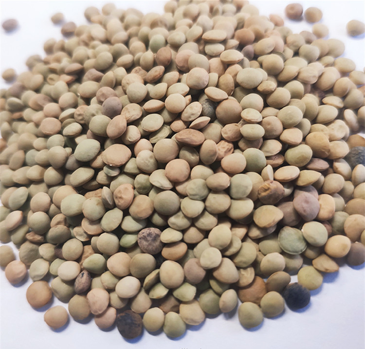 Calcul automatique de maïs de quinoa de blé de riz de trieuse multifonctionnelle de couleur
