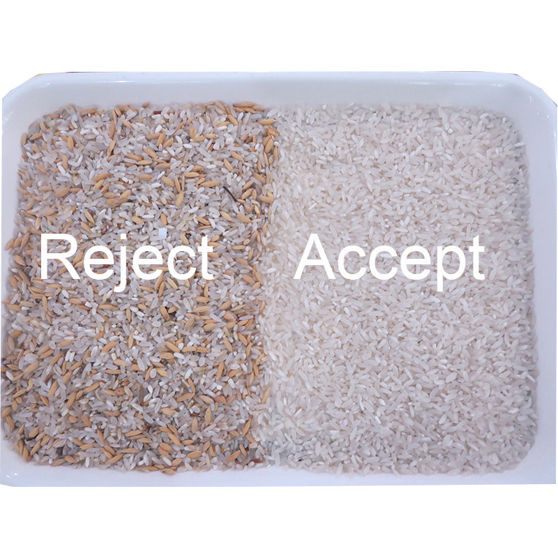 Mini Rice Color Sorting Machine par la caméra CCD optique