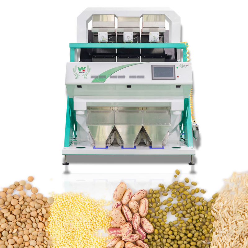 La machine de trieuse de couleur de cynorrhodon de 3 canaux a adapté la couleur aux besoins du client