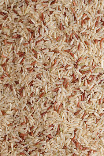 WENYao 4 chute la trieuse de couleur de riz brun de prix usine de 256 canaux
