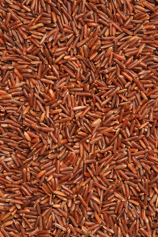 WENYao 4 chute la trieuse de couleur de riz brun de prix usine de 256 canaux