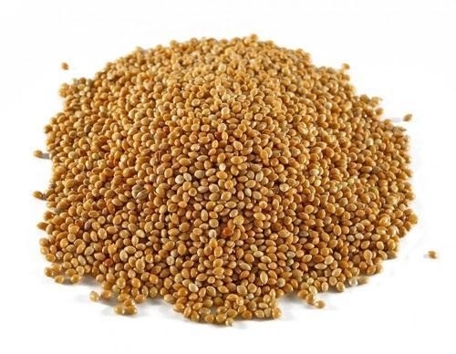 Trieuse organique automatique intelligente de couleur de riz de 7 canaux 80 tonnes par trieuse de couleur de jour