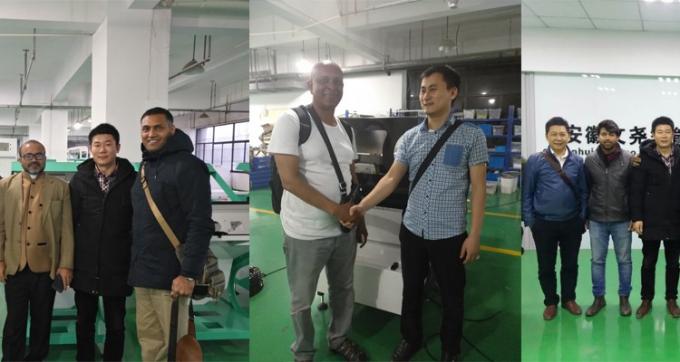 100 à 900 kg/h Sortir la couleur de la machine pour la noix de macadamia Wanlut Noix de noisette 8