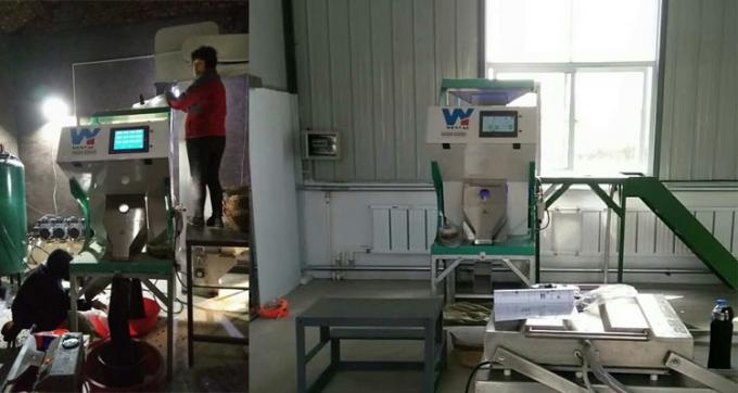 100 à 900 kg/h Sortir la couleur de la machine pour la noix de macadamia Wanlut Noix de noisette 10