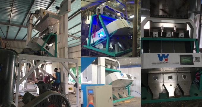 100 à 900 kg/h Sortir la couleur de la machine pour la noix de macadamia Wanlut Noix de noisette 11