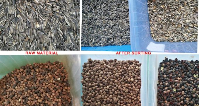 220V / 50Hz Wenyao machine de tri des couleurs pour les grains de café et les cerises 5