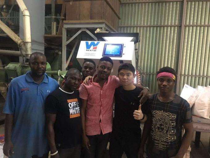 6 chute caméra optique CCD intelligente PET PVC HDPE plastique machine de tri des couleurs 10