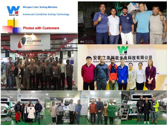 6 chute caméra optique CCD intelligente PET PVC HDPE plastique machine de tri des couleurs 12