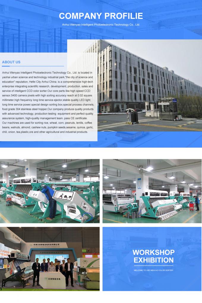 Machine de tri de couleurs de fruits et légumes pour la transformation agricole 25