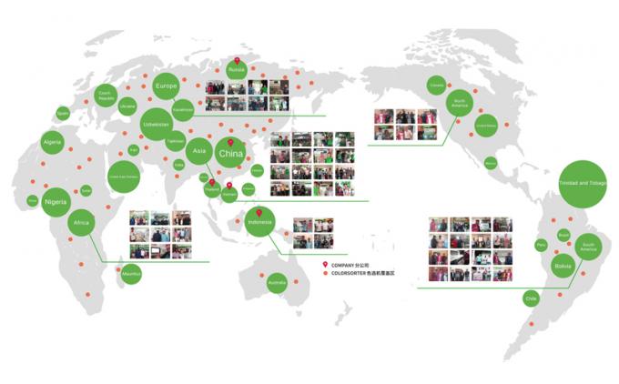 6 chute caméra optique CCD intelligente PET PVC HDPE plastique machine de tri des couleurs 19