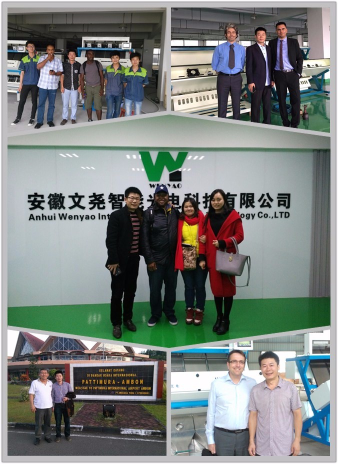 Trieuse optique couleur haute vitesse à caméra CCD pour la production d'arachides 17