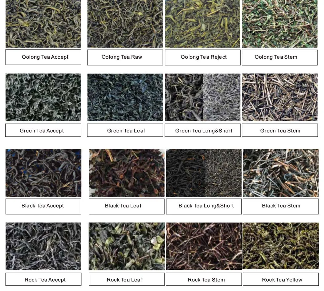 Anhui Wenyao CE Certification Optical Sorter Tea CCD Color Sorting Machine