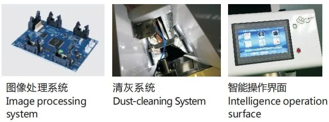 Anhui Wenyao CE Certification Optical Sorter Tea CCD Color Sorting Machine