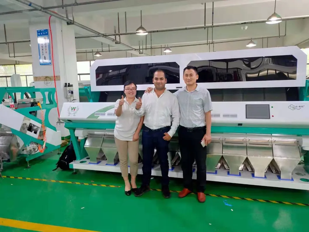 Anhui Wenyao CE Certification Optical Sorter Tea CCD Color Sorting Machine