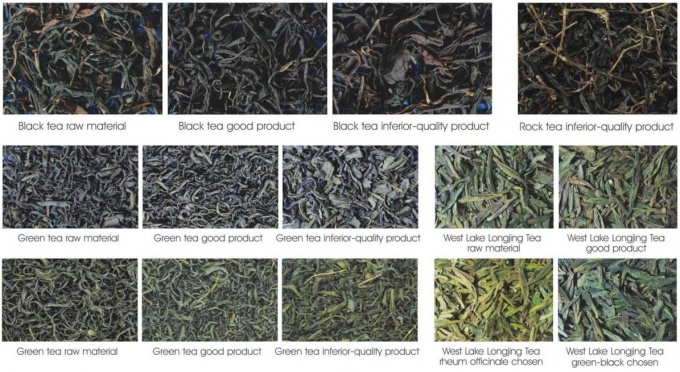 Machine de tri du thé Wenyao CCD pour le tri du thé noir au Sri Lanka 2