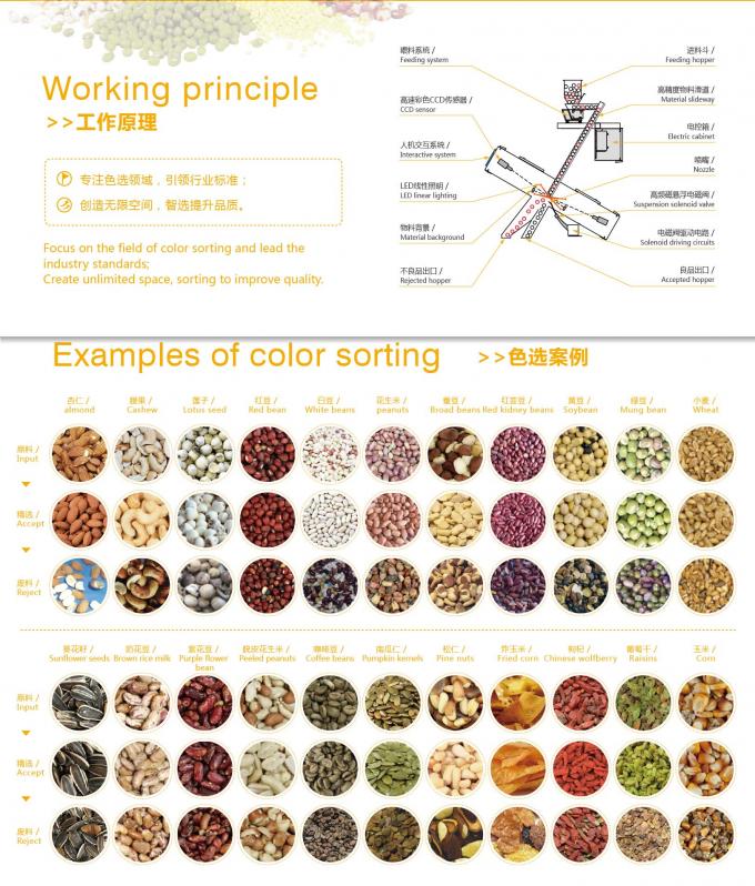 Wenyao 64 canaux Sorteuse optique de haricots CCD Lupins Sorteuse de couleurs Mung Bean Machine de tri des couleurs de haricots blancs 1
