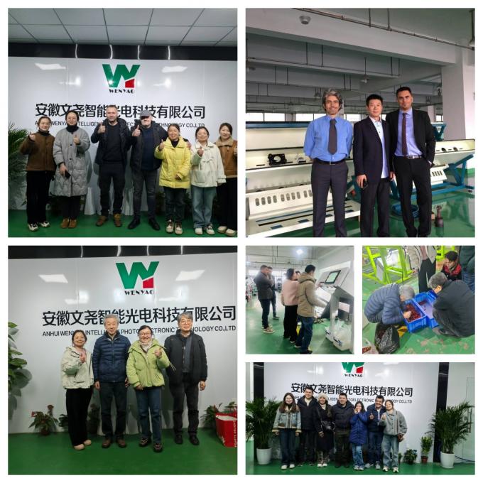 Machine de tri des couleurs de noix de pistache 21