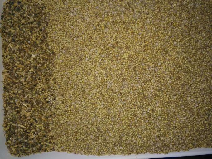 Petit tri optique des graines de couleur avec bonne performance machine de nettoyage des graines 3