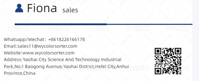 Machine de tri optique CCD pour l'industrie du sel en acier inoxydable 316L, trieur de couleurs, séparateur de nettoyage du sel, haute précision, Chine 26