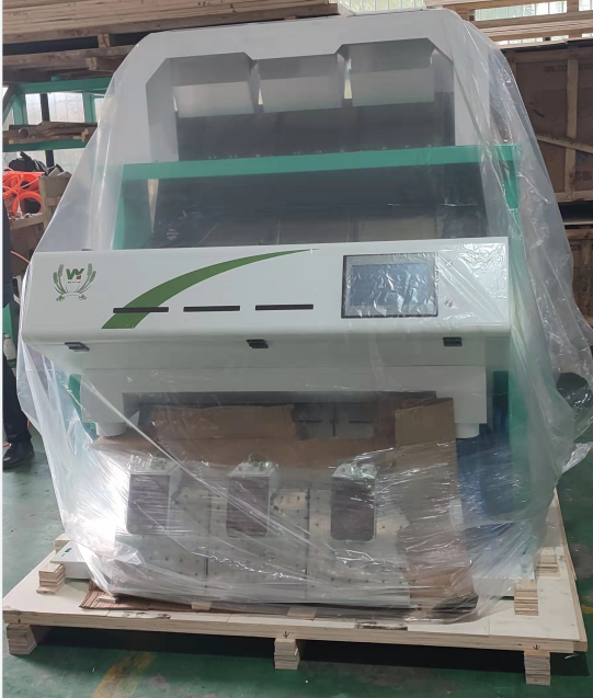 Trieur de couleurs de fèves larges WENYAO 5 sorties pour l'industrie 24